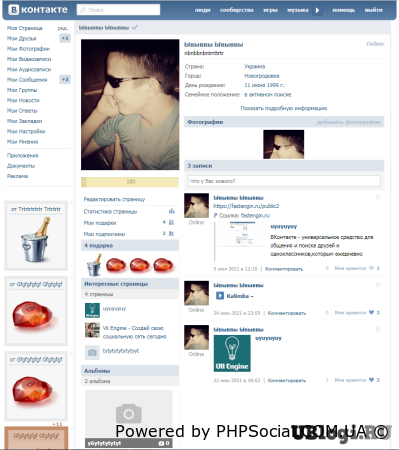 Сборка ВКонтакте 2014 на Vii Engine от PHPSocial